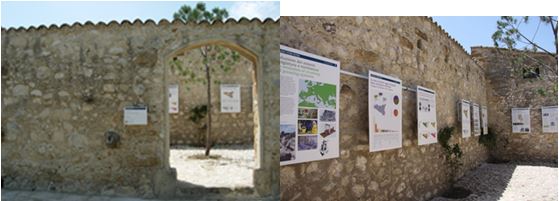 Lo spazio Iter Vitis delle Cantine Planeta