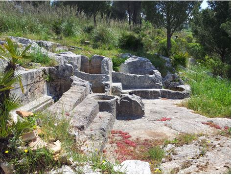 Antico palmento all’interno del Bosco della Risinata, Sambuca di Sicilia